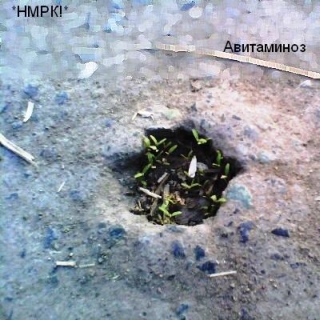 UMPAKO-66: *NMRK!* / Avitaminoz (Experimental, Psychedelic, Cover)