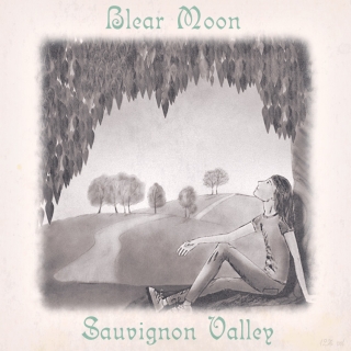UMPAKO-76: Blear Moon / Sauvignon Valley (Electronic, Piano miniatures, Ambient)