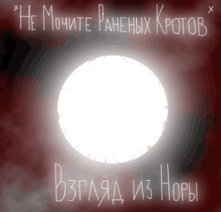UMPAKO-9: *Ne Mochite Ranenyh Krotov* / Vzglyad iz nory (Experimental)